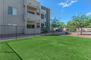 Marquee on 5th apartments in tucson, arizona bark park